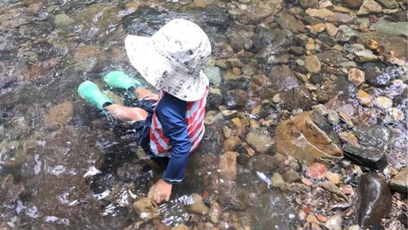 Children Learn Science in Nature Play | Talking about Play