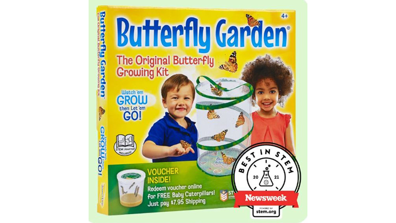 Butterfly Garden