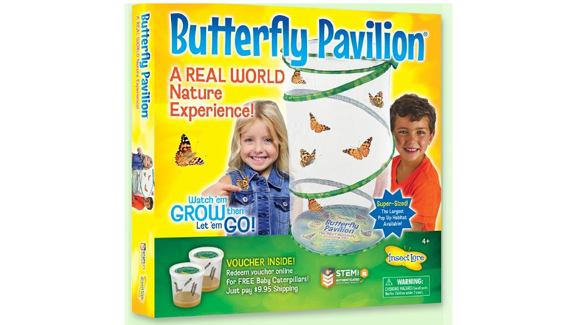 Butterfly Pavilion