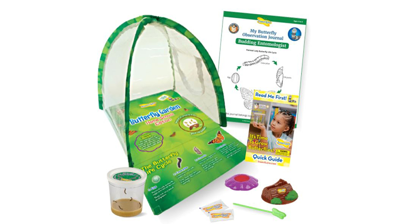 Butterfly Home Garden Kit